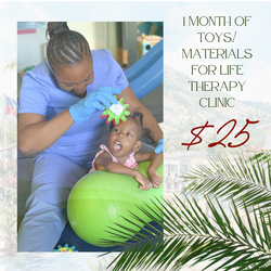1 Month of Toys/Materials for LIFE Therapy Clinic